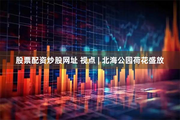 股票配资炒股网址 视点 | 北海公园荷花盛放